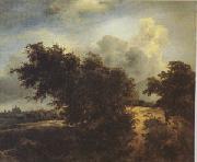 Jacob van Ruisdael The Bush (mk05) oil painting picture wholesale